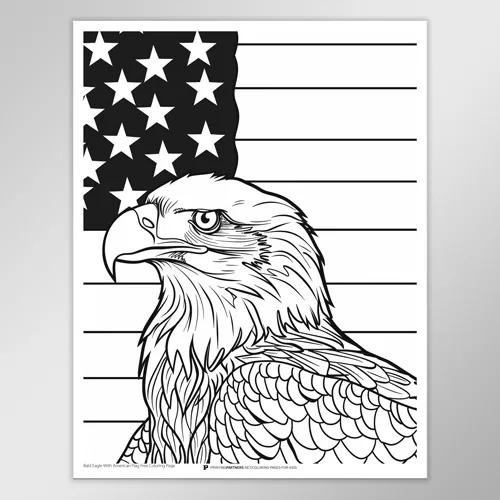 Bald Eagle with American Flag Coloring Page