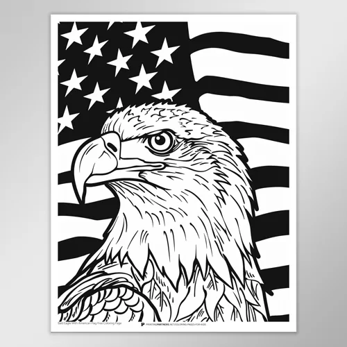 Bald Eagle with American Flag Coloring Page