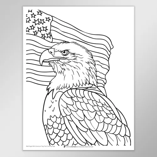 Bald Eagle with American Flag Coloring Page