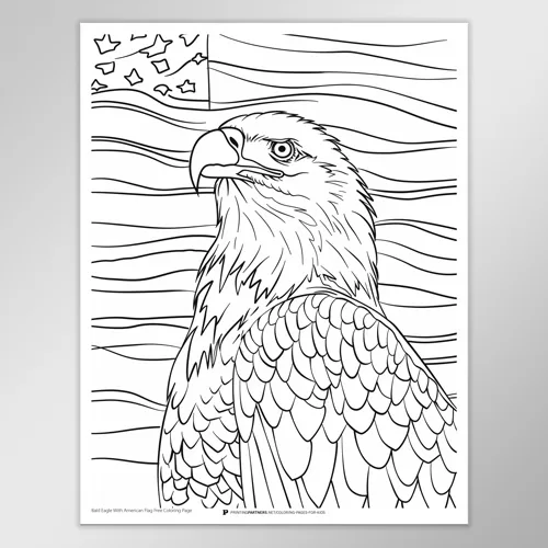 Bald Eagle and American Flag Coloring Page