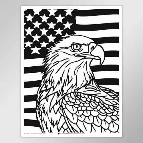 Bald Eagle Surrounded by Stars Coloring Page