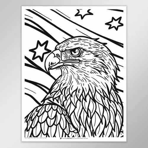 Bald Eagle with Stars Coloring Page