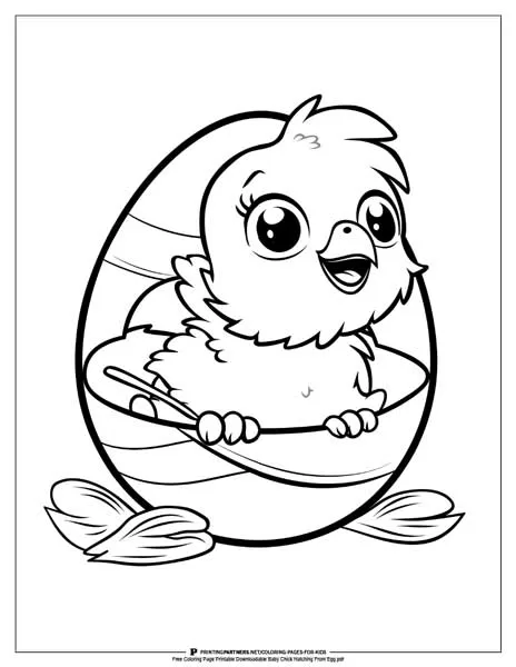 A baby chick hatching from egg coloring illustration.